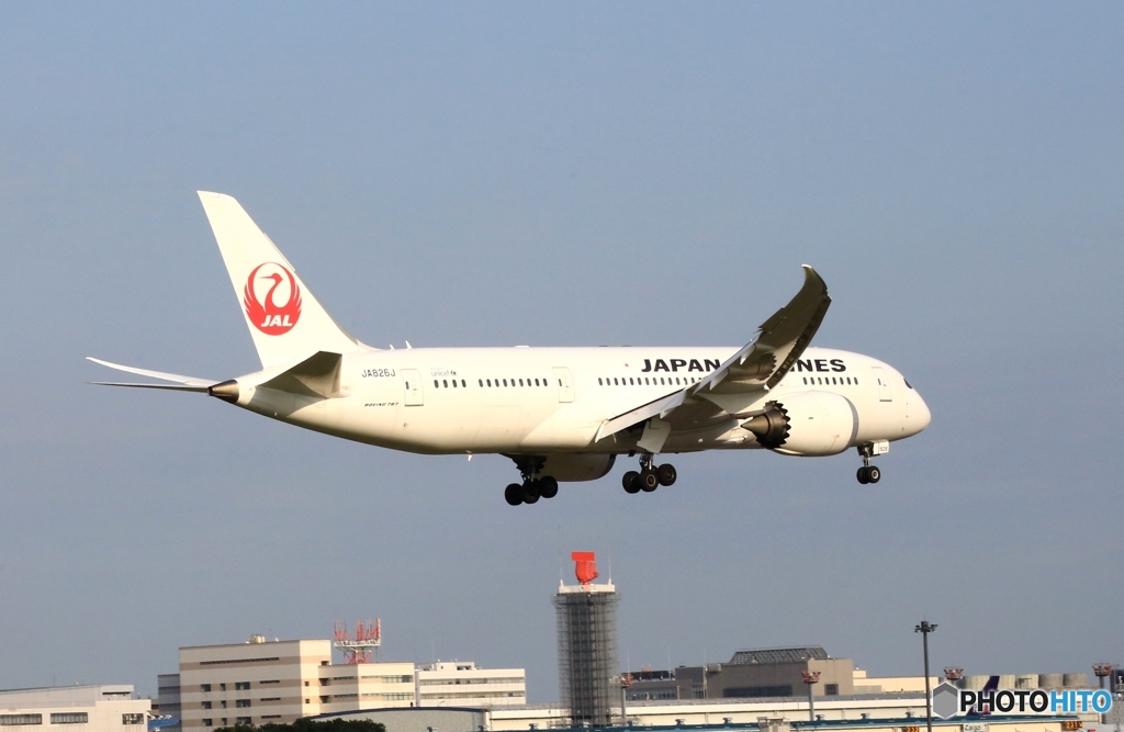 JAL 787-8 JA826J 着地前