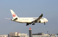 JAL 787-8 JA826J 着地前