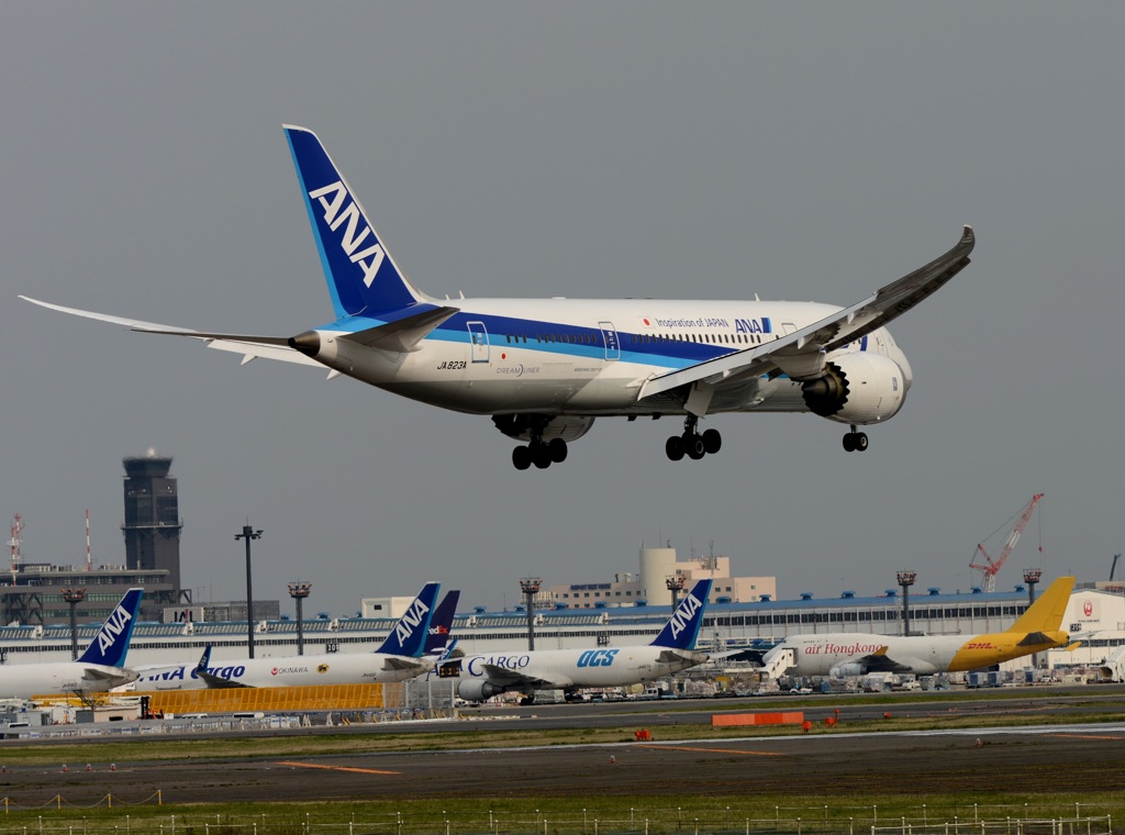 ANA 787-8 着陸　