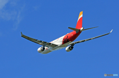 「青い空」が一番 イベリア航空 A330-200 EC-MIL