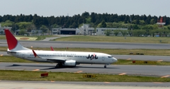 JAL 737-800