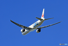 「青空」 JAL JET KEI 777-381 JA733J飛び立ち