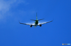 出発 春秋航空 A320 