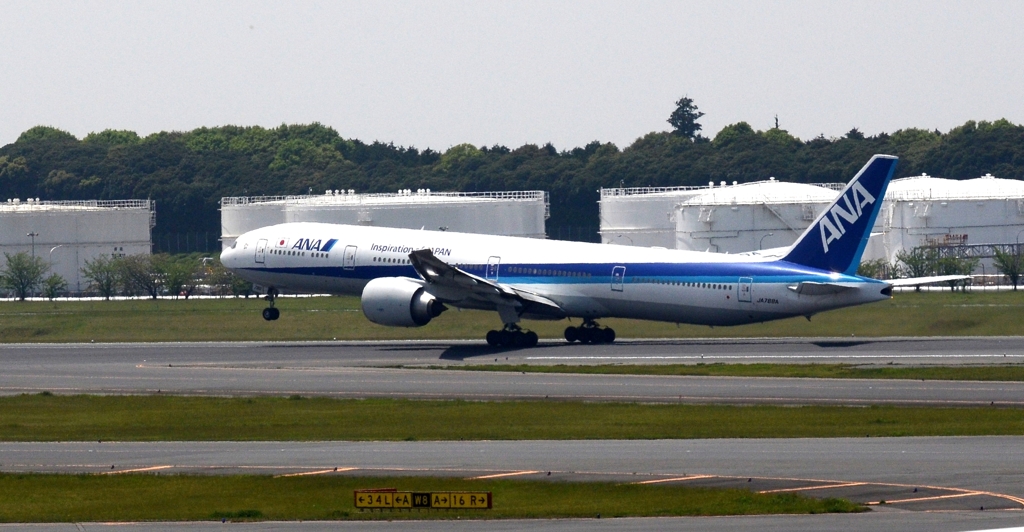 ANA 777-300ER