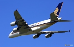 Singapore  A380-841 9V-SKK 離陸　 