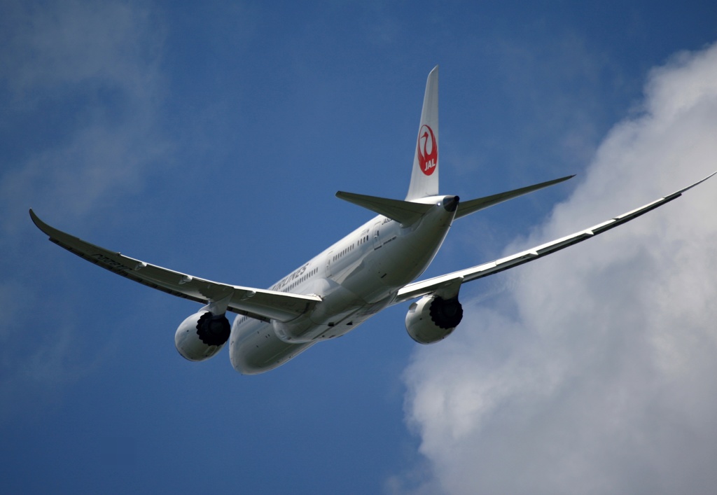 飛行　JAL 787-8 