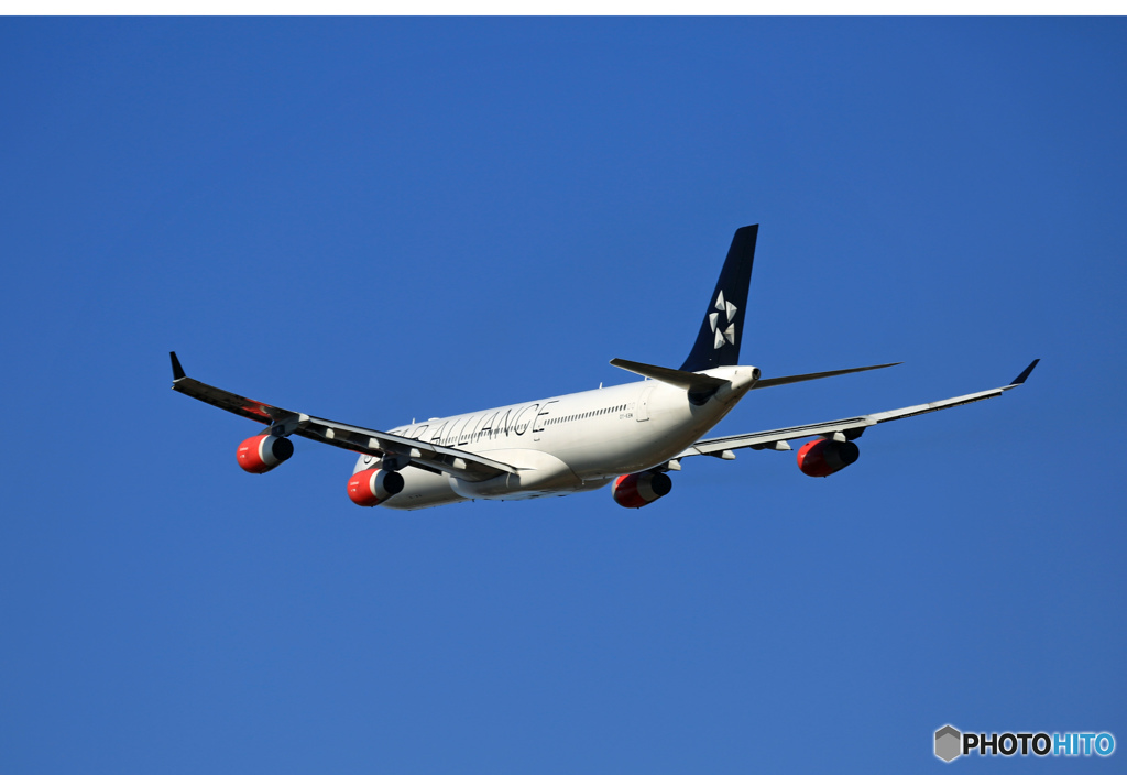 SAS A340-313 OY-KBM