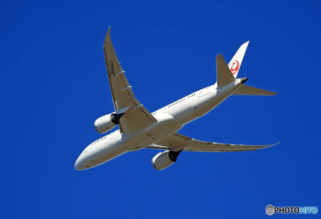 「空色」 JAL 787-8 JA842J