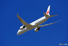 「良い空～」 JAL 787-9 JA867J出発