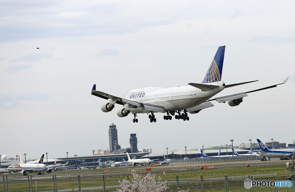 「SKY」 United 747-400 N181UA 着陸