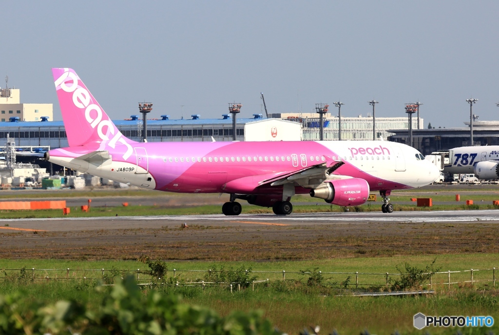 離陸 peach A320-214 