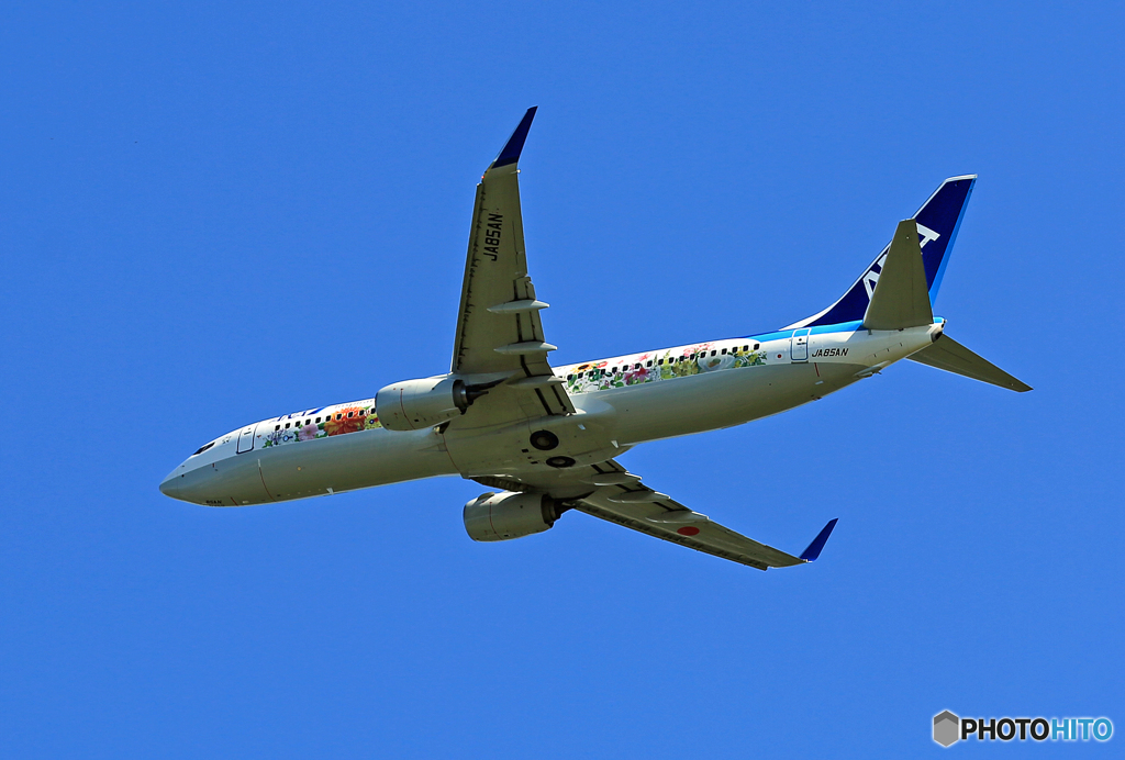 ANA B737-800・特別塗装機「フラワージェット」JA85AN