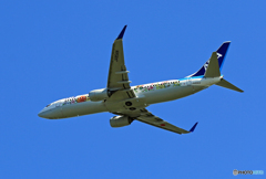 ANA B737-800・特別塗装機「フラワージェット」JA85AN