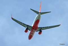 JEJU 737-8AS HL8050 離陸 