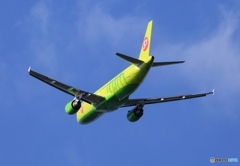 S7 A320-214 VQ-BRG 出発　