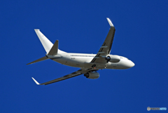 メトロジェットB737-7EI B-LEX 離陸  