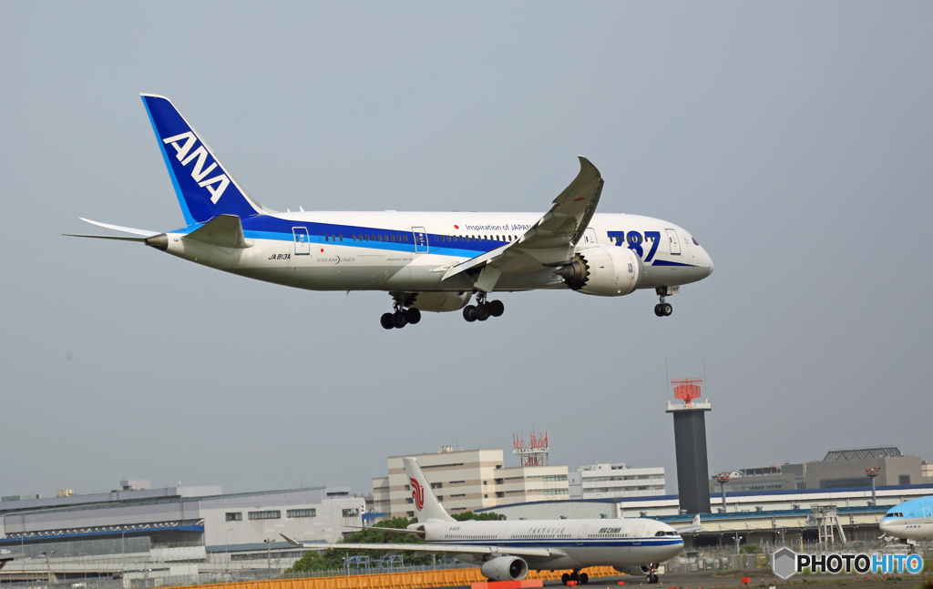 ANA 787-8 JA813A 到着 