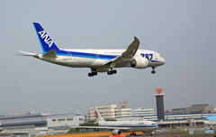 ANA 787-8 JA813A 到着 