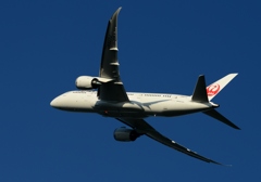 離陸（362）787-8 機体中央に模様が？