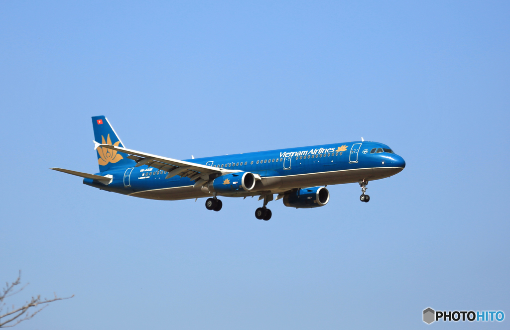 Vietnam A321-231 VN-A336 着陸 