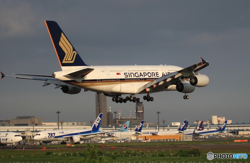 SINGAPORE A380-841 到着　