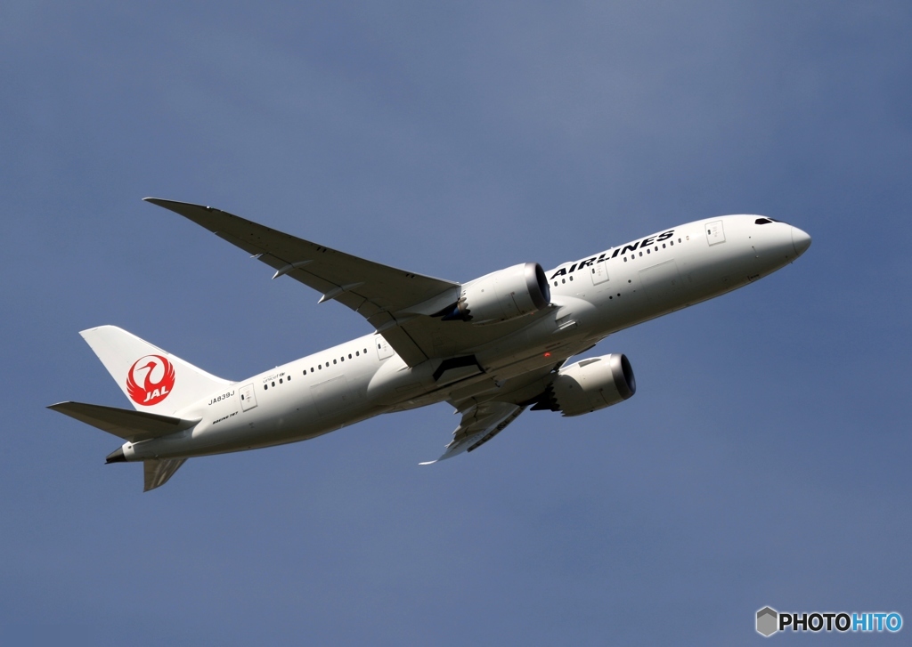 飛行　JAL 787-8