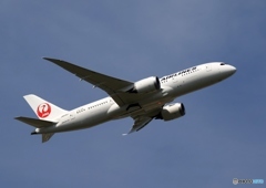 飛行　JAL 787-8