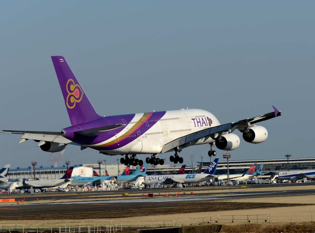 到着 THAI A380-841 