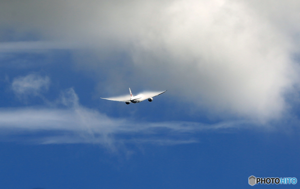 ベイパー！ JAL 787-9 JA865J