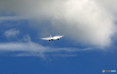 ベイパー！ JAL 787-9 JA865J