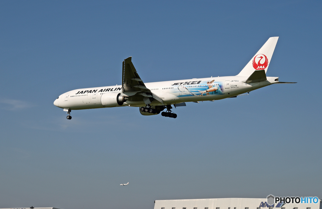 ✈「JET  KEI」 B777-346 JA733J ひこうきの丘
