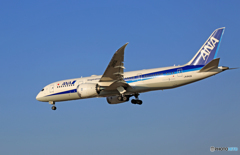 着陸 ANA787-8 JA840A