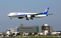 到着　ANA 777-300 