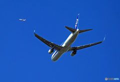 W離陸 ANA 767-346+