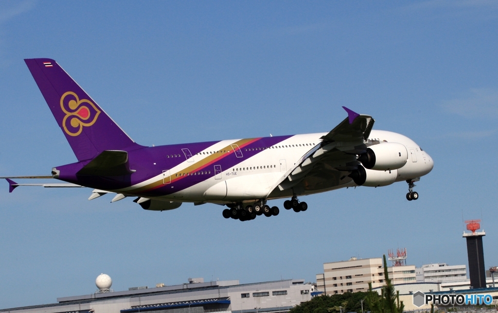 到着　THAI A380-841 
