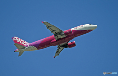 出発 peach A320-214 JA809P