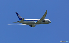飛行 ANA 787-8 JA828A