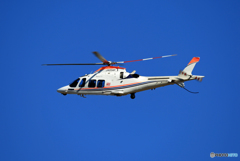 「ぶるー」Eurocopter EC135-P2「ゆめどり」JA03CP