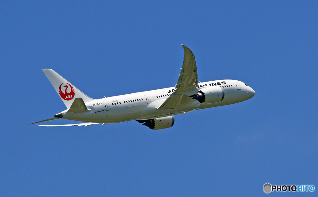 [青い空]　JAL 787-8 JA844J