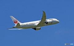 [青い空]　JAL 787-8 JA844J