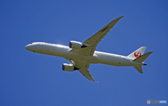 飛行 JAL 787-9 JA863J
