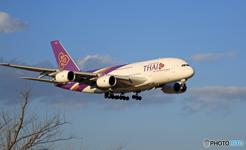 到着 THAI A380-841 HS-TUF⑥番機
