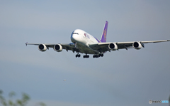 着陸 THAI A380-841