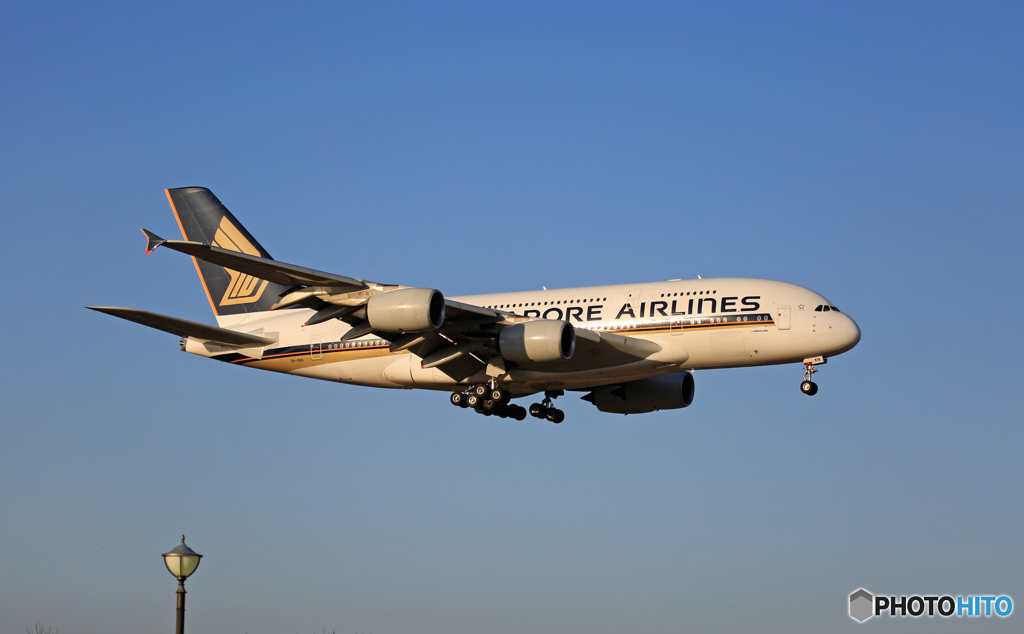 到着 SINGAPORE A380-841 9V-SKN