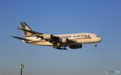 到着 SINGAPORE A380-841 9V-SKN