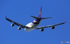 ✈あなたも、「バック」 が好きですか？