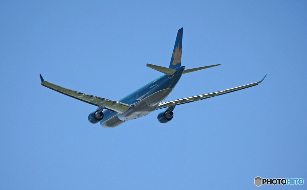 vietnam A330-223 VN-A378 飛び立ち 