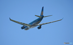 vietnam A330-223 VN-A378 飛び立ち 