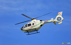 青空オバタ総業Eurocopter/ユーロコプターEC135P1 JA800H