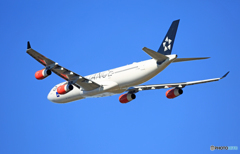 「青い空」が一番SAS STAR A340-313 OY-KBM
